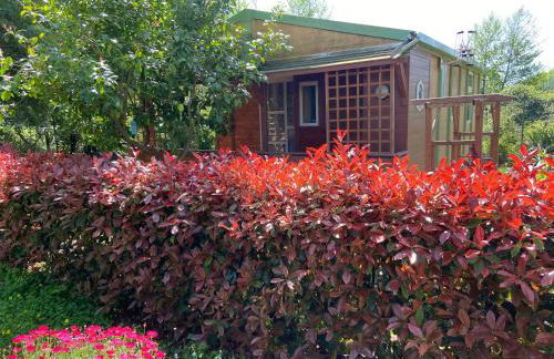 Beach house à Marina di Sorbo …Corse - Foto 1