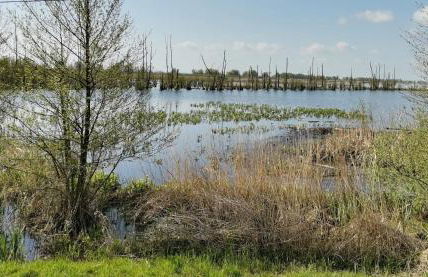 Ferienwohnung Neukalen - Foto 18