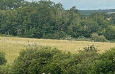 The Old Sty - Foto 16