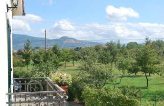 All Casine - Foto 13