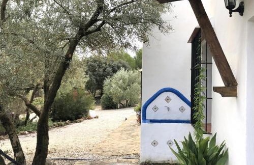 Casa de Campo La Mejorana Refugio entre olivos sin renunciar al confort - Foto 17