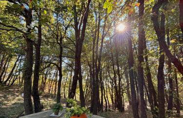 Woods Etna Chalet - Photo 56