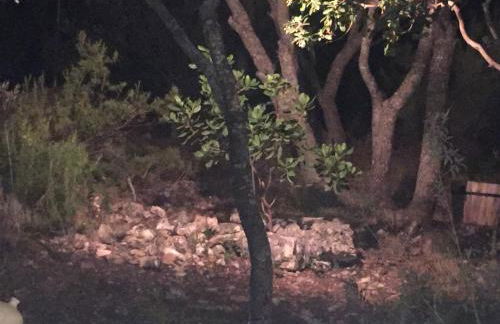 Casa Rural Lago Bolarque - Foto 56