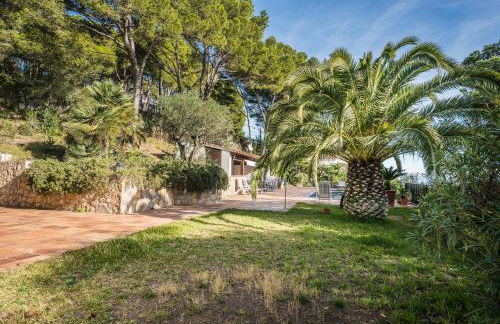 Tamariu Montagut Domain - Foto 13