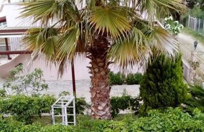 Seaside Green Villa - Foto 32