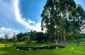 Casa Serra Gaúcha Nova Petrópolis 30 min Gramado - Foto 37