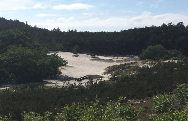 Peaceful Dune Retreat With Garden - Foto 23