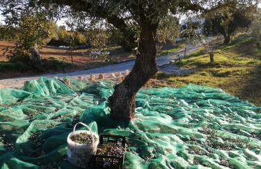 Burrico D`Orada - Rural Stays & Wine Country Tours - Foto 63