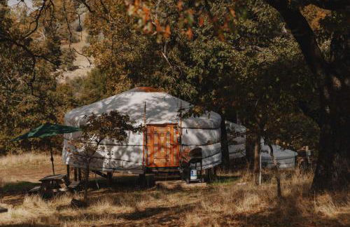 Glamping yurt at a nature retreat Sequoia Highland - Photo 21