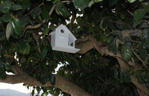 Casa do Terreiro - Foto 29