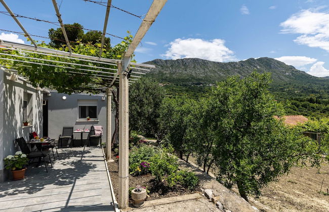 Apartments Roza - Foto 24