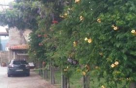 Quinta de Malta - Foto 60