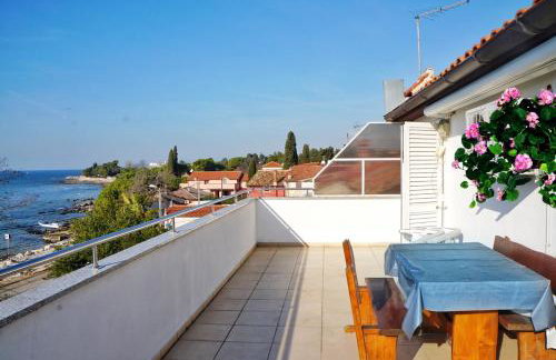 Apartmani Vesna - Foto 43