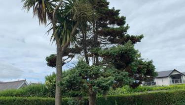 Causeway Cottage - Foto 4