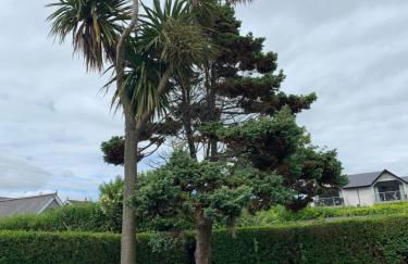 Causeway Cottage - Foto 4