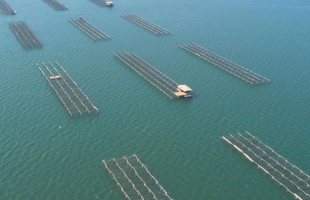 Inspiramar - Foto 23