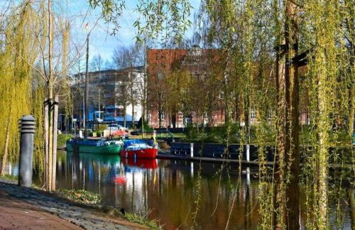 LaPurka III Garten - Foto 18