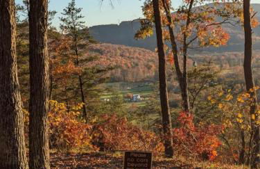 Shenandoah Retreat - Family Home - Foto 79