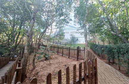 Vista Piscinas - Park Veredas 417 - Foto 76