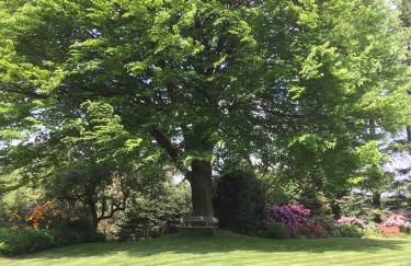 Ferienhaus Schils Zur alten Heidegärtnerei - Keine Monteure! - Foto 7