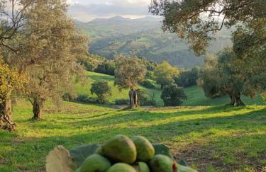 Rustic hillside stone-Rustico in pietra - Foto 42