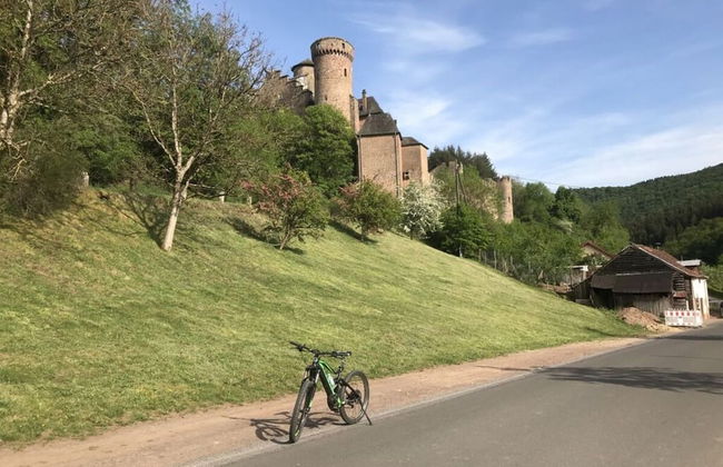 Eifel Farmhouse Comfortable Holiday Residence - Photo 27