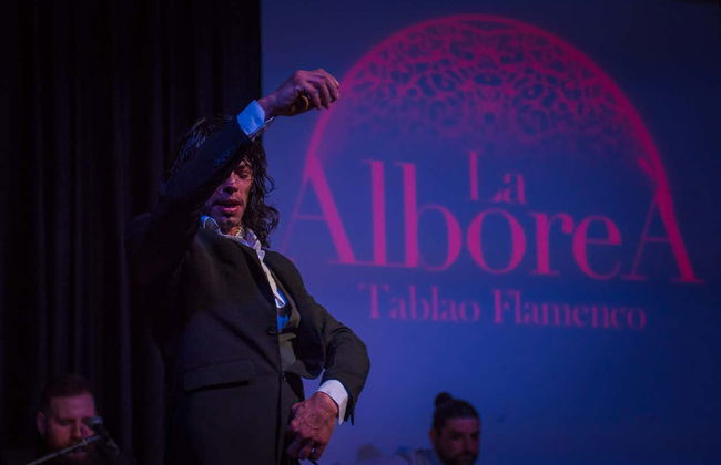 Spectacle de flamenco à La Alboreá - Photo 6