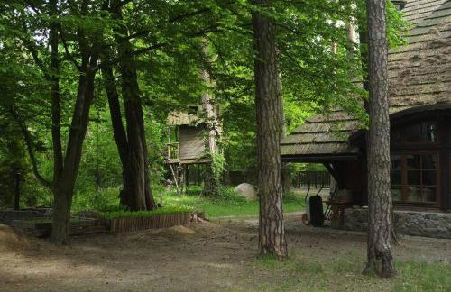 Leśny kasztel pod sosnami. Pokój w koronach drzew. - Foto 26