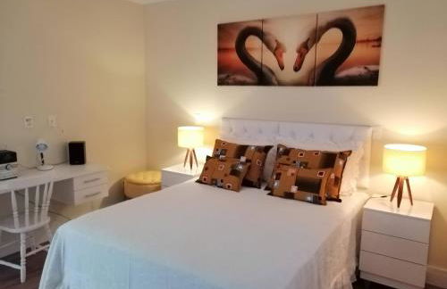 Apartamento Aconchegante de luxo da Elena - Foto 3