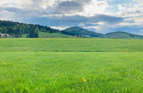 Ferienhaus Geiger in Bernau im Schwarzwald - Foto 14