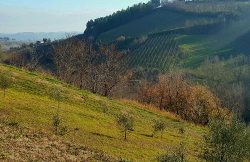 Azienda agricola biologica Le Lucciole - Foto 4