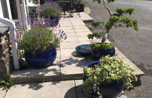 2 Bed Rural Escape between Coast & Mountains at Mud & Wool - Foto 42