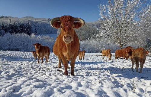LA MAISON 1788 - Foto 38