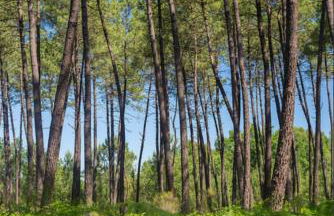 pénates océanes - Foto 22