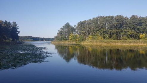 Hausboot Mirabella am Müritz Nationalpark Festanliegend - Foto 4