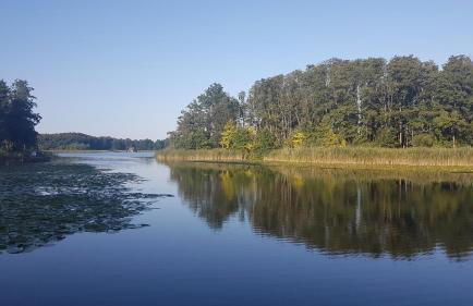 Hausboot Mirabella am Müritz Nationalpark Festanliegend - Foto 4