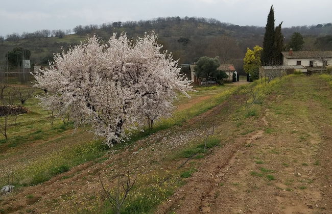 Casa Rural la Vallejera - Photo 22