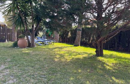 Villa Amparo con piscina privada - Photo 10