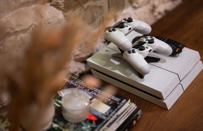 Villa Jokić Dvori - Foto 23