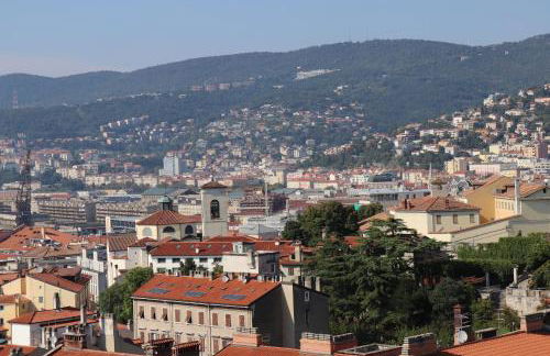 IR Panoramic - Photo 20