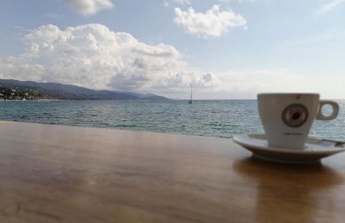 Les Iles d' Or Appartement - Foto 70