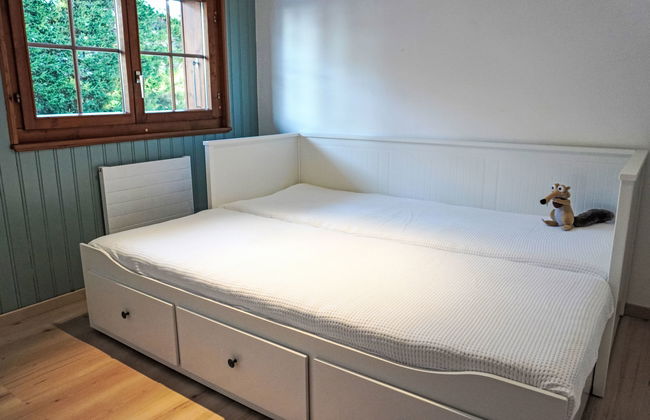 Goeland n°4 - Foto 11