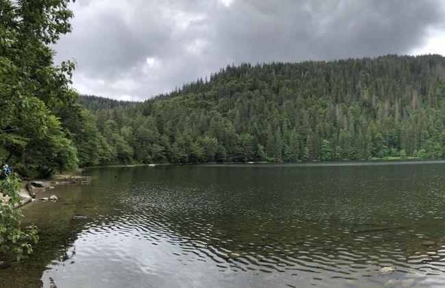 Kassler Comfortable Holiday Residence - Foto 16