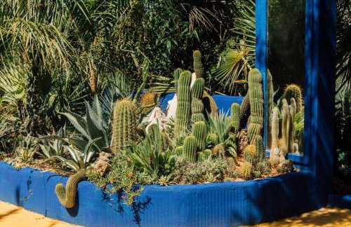 Villa Tropica, total privacy, tropical garden and private pool - Photo 10