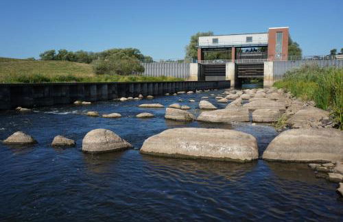 FeWo Elbdeichliebe - Photo 32