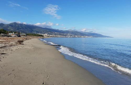 Appartement - Foto 13