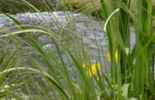 la cascatelle - Foto 15