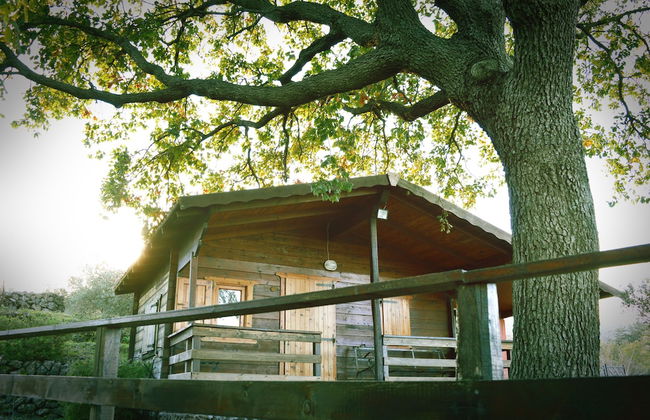 Agriturismo Kikajon - Foto 15