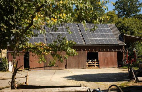 Ferienhof Rörig-Plenz - Photo 17