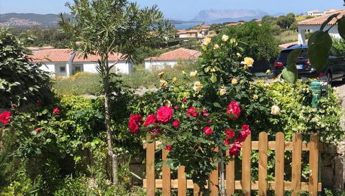 Frank's Home - Foto 4